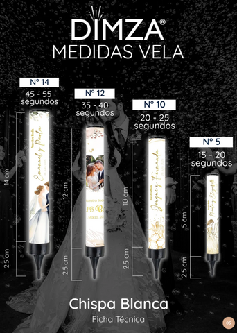 Modelo Multiparty
